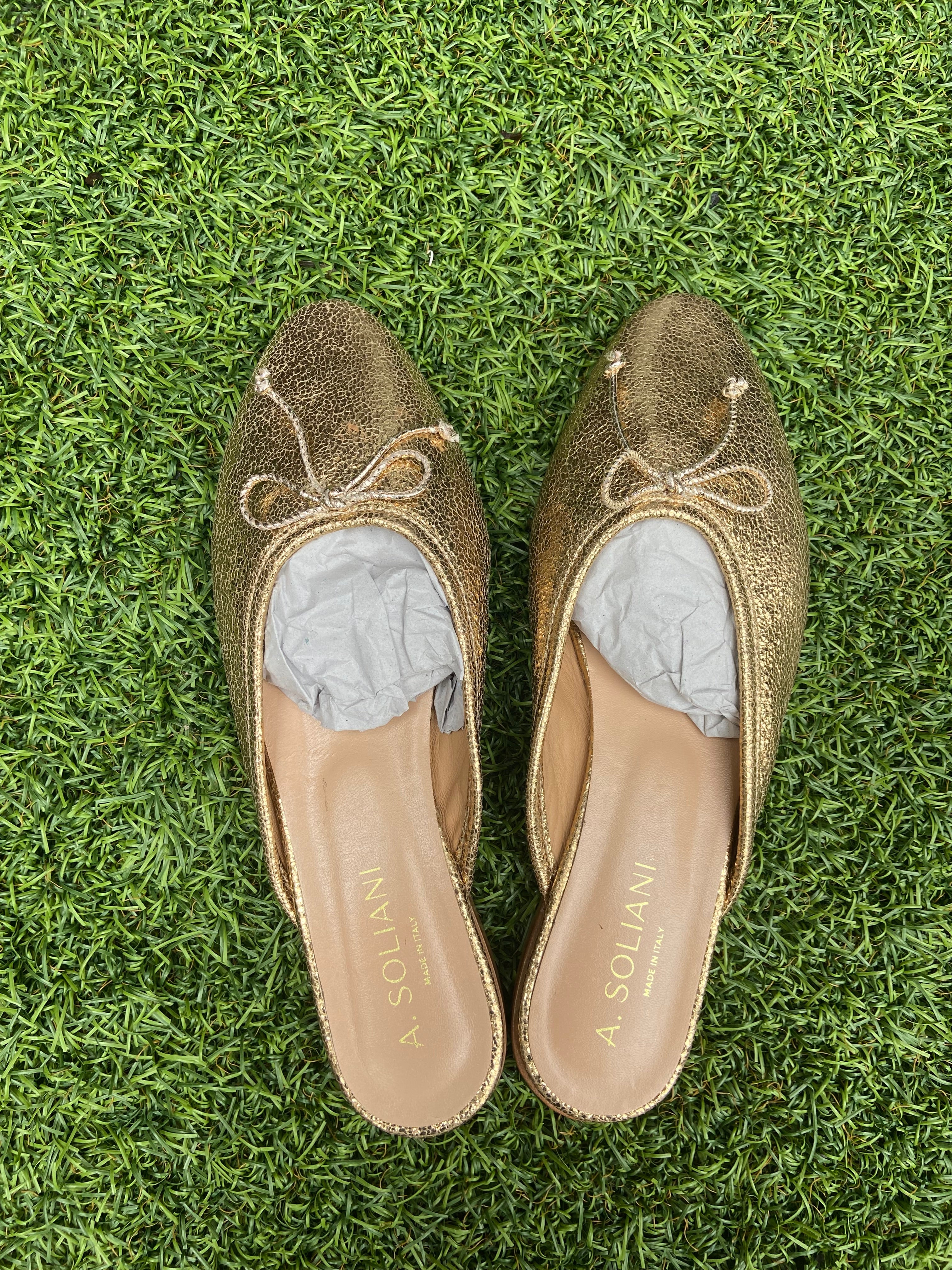 A.soliani shoes